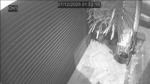 Caméra IP - Singapore