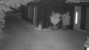 Caméra IP - Netherlands