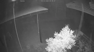 Caméra IP - Thailand