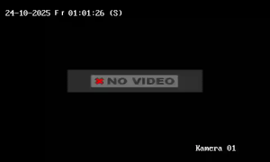 Caméra IP - Germany