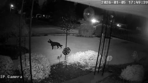 Caméra IP - United States of America