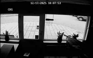 Caméra IP - Paesi Bassi