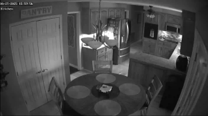 Caméra IP - Stati Uniti d'America