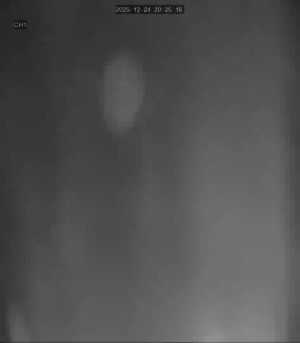 Caméra IP - South Korea