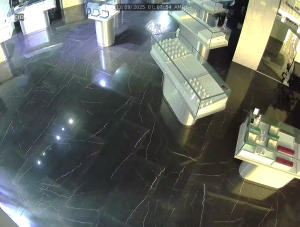 Caméra IP - Stati Uniti d'America