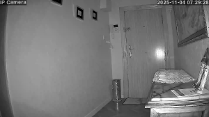 Caméra IP - Spanien