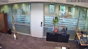 Caméra IP - Países Bajos