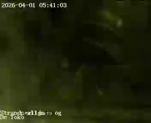 Caméra IP - Netherlands