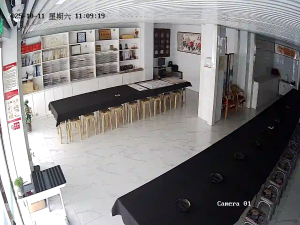 Caméra IP - China