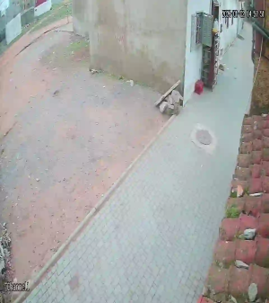 Caméra IP - Morocco