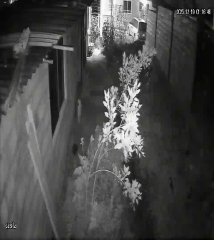 Caméra IP - México