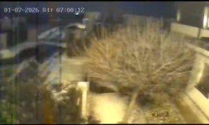 Caméra IP - República Checa