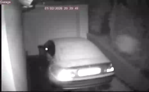 Caméra IP - Germany