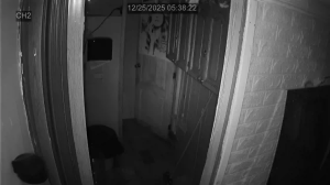 Caméra IP - Ecuador