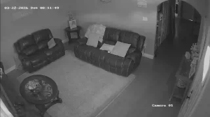 Caméra IP - United States of America