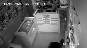 Caméra IP - Türkiye