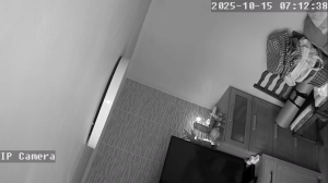 Caméra IP - Royaume-Uni