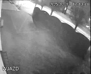 Caméra IP - Polonia