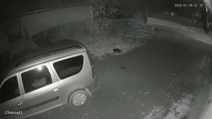 Caméra IP - Rumänien