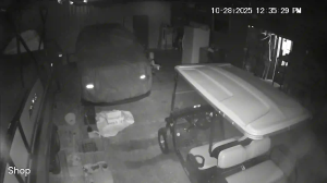 Caméra IP - Stati Uniti d'America