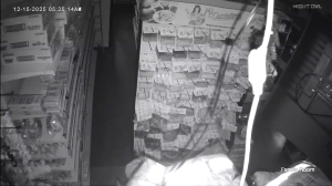 Caméra IP - United States of America