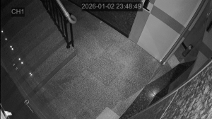 Caméra IP - South Korea