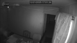 Caméra IP - Estados Unidos