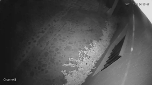 Caméra IP - México