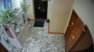 Caméra IP - Russische Föderation