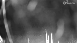 Caméra IP - Australie