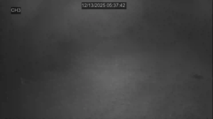 Caméra IP - Vereinigte Staaten von Amerika