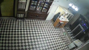 Caméra IP - Netherlands