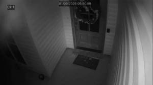 Caméra IP - United States of America