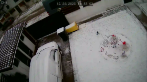 Caméra IP - Romania