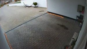 Caméra IP - Dinamarca