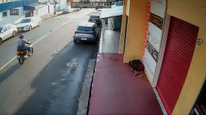 Caméra IP - Brasil