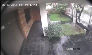 Caméra IP - Argentine