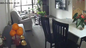 Caméra IP - Hongkong