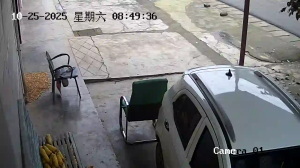 Caméra IP - China