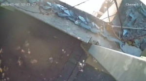 Caméra IP - South Africa