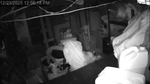 Caméra IP - United States of America