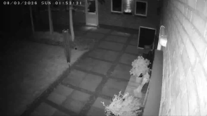 Caméra IP - Pays-Bas