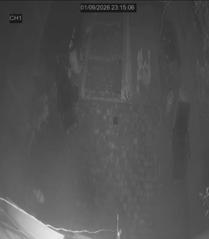 Caméra IP - United Kingdom