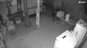 Caméra IP - Australia