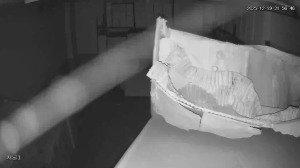 Caméra IP - República de Corea