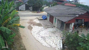 Caméra IP - Vietnam