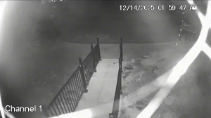 Caméra IP - United States of America