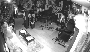 Caméra IP - Estados Unidos