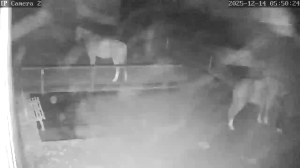 Caméra IP - Germany