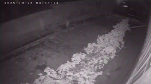 Caméra IP - Moldavie